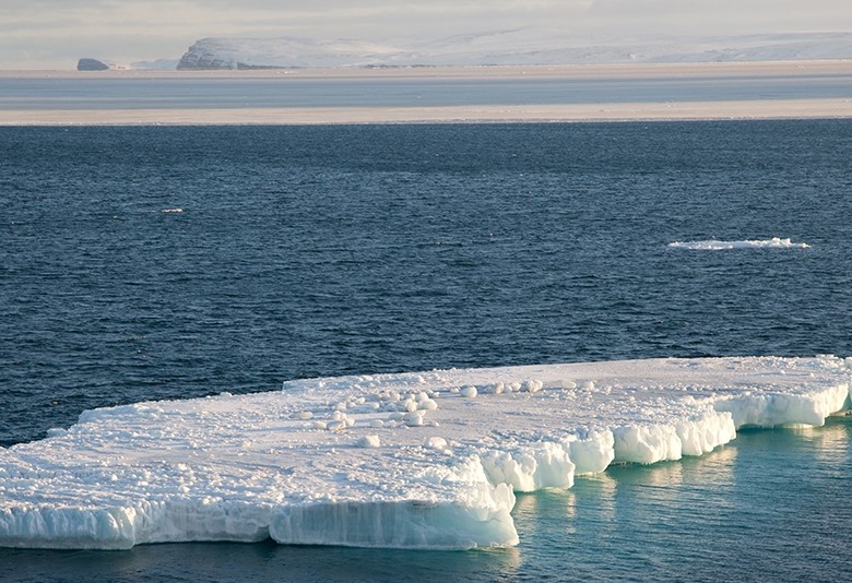 Un pedazo del hielo del Ártico que se descongela a pasos grandes. Foto NOAA