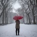 Reuters - Un d&#237;a de nevada en el Central Park de Nueva York.