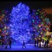 AP - Navidad en Colorado, Estados Unidos, en el Jard&#237;n Bot&#225;nico de Denver.
