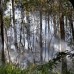 Juan Antonio S&#225;nchez - Durante el 2014 se han presentado cerca de 450 incendios forestales en Medell&#237;n.