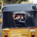 AP - Peque&#241;os ni&#241;os en La India saludan a los viajeros desde al ventana trasera de un auto rickshaw.