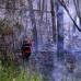 Juan Antonio S&#225;nchez - Las autoridades recuerdan a las personas tener en cuentas las medidas preventivas para evitar los incendios: no arrojar basuras en los bosques y mucho menos realizar fogatas.