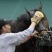 AP - Un caballo recibe un ba&#241;o en el Hip&#243;dromo de Baltimore en Estados Unidos. Esta semana se realizaron varias carreras de caballos.