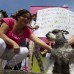 Esteban Vanegas - Por lo menos 50 manifestantes se hicieron sentir por la muerte de 25 mascotas en el barrio Robledo La Campi&#241;a.