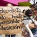 Esteban Vanegas - Los habitantes lucieron orejeras de perros y gatos, adem&#225;s de carteles para protestar.