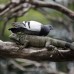 AP - Esta imagen de una paloma de que descansa sobre una iguana dentro del parque Seminario de Guayaquil, Ecuador.