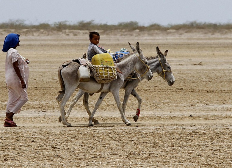 La Guajira vivió en el primer semestre la peor sequía de lo que va del siglo. FOTO Donaldo Zuluaga