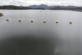 Desde el pasado 6 de noviembre el embalse El Peñol – Guatapé, el de mayor regulación del país con una capacidad de almacenamiento de 1.070 millones de metros cúbicos (el agua que tendrían 428.000 piscinas olímpicas), alcanzó 100,3 % de su nivel. Foto: Manuel Saldarriaga