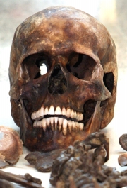 Fiscalía GeneralEste sería el cráneo del jefe paramilitar, que junto con el resto del esqueleto, permaneció enterrado durante más de dos años en la Finca Las Tangas.