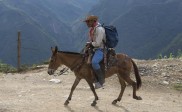 Los residentes viven de la agricultura, la ganadería y la minería artesanal de oro (barequeo), en los ríos Cauca y Espíritu Santo. FOTO: Donaldo Zuluaga.