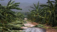 El huracán Matthew, la tormenta más feroz del Caribe en casi una década, se dirigía a Bahamas y la costa estadounidense el miércoles a primera hora, después de azotar Haití y Cuba con lluvias torrenciales que causaron estragos, principalmente entre la golpeada población haitiana. (Guantánamo, Cuba. FOTO Reuters)