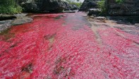 El Parque Nacional Natural La Macarena tiene 629.280 hectáreas. FOTO Cortesía - Éxito 