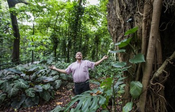 Pacho Salazar, el sanador de árboles