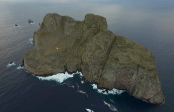 Malpelo y sus tiburones martillo serán protegidos