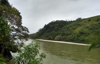 Así se veía el río Cauca el pasado miércoles. FOTO EPM
