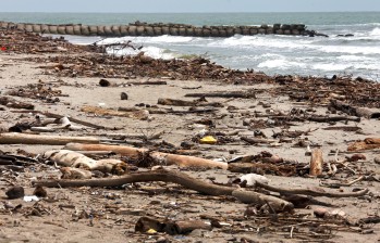 Todo tipo de acciones en defensa del medio ambiente, por la solución de problemas que aquejan a las comunidades (como la limpieza de playas) tienen cabida en Hagamos Eco. FOTO Archivo