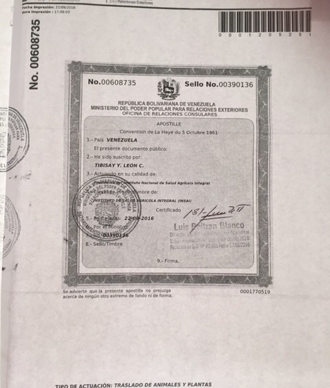 Parte de la documentación que fue presentada por Yarima Marchan, dueña del Bolt, ante el personal la compañía Copa Airlines. FOTO Cortesía. 