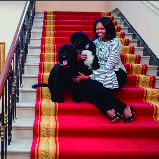 El fenómeno de #MichelleObama