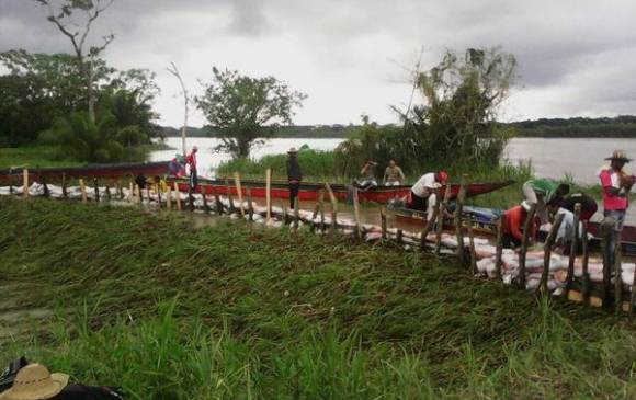 El pasado domingo el río Cauca se desbordó en el sitio La Espiga, a unos cinco kilómetros del casco urbano de Nechí. FOTO CORTESÍA UNGRD