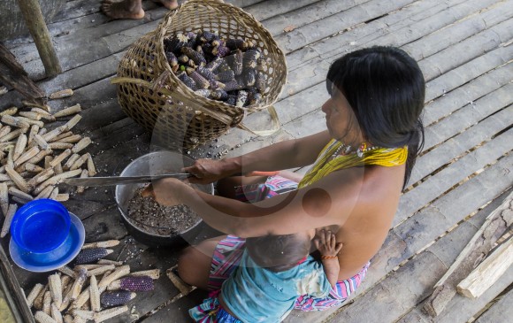 Mujer embera cocina maíz y plátano para su sustento y el de su familia en la comunidad Tassi. FOTO Donaldo Zuluaga