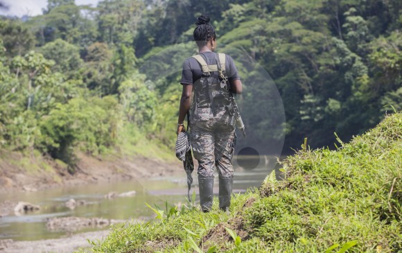 En el Alto Baudó (foto), el Eln tiene presencia con una de sus estructuras armadas. En la zona se vive una disputa entre las bandas criminales y la guerrilla por el territorio. FOTO donaldo zuluaga