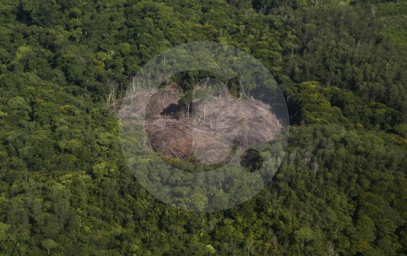 El departamento antioqueño es uno de los más afectados del país por el fenómeno de la deforestación como bien lo muestra esta imagen tomada en uno de sus bosques. FOTO Esteban Vanegas
