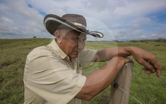 Elías Ventura es uno de los campesinos de El Tigre 1, en Caucasia, que además de recibir su tierra de vuelta es acompañado para hacerla producir de nuevo. FOTO Manuel Saldarriaga