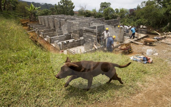 En Caldas, en una zona veredal, se construye el nuevo albergue para mascotas que estará listo en un mes.