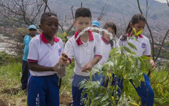 En el cerro El Volador, los niños sembraron 200 árboles de especies nativas. Fotos donaldo zuluaga