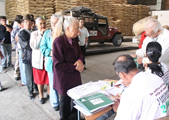 51.280 caficultores antioqueños están habilitados para votar en las elecciones cafeteras de septiembre de 2018 . Foto: Archivo.
