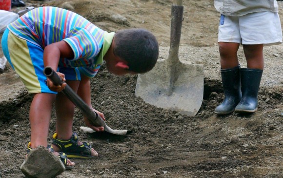 En el Área Metropolitana 35.000 menores se privan de la infancia por laborar. El agro y la minería son los principales patronos. Foto Archivo