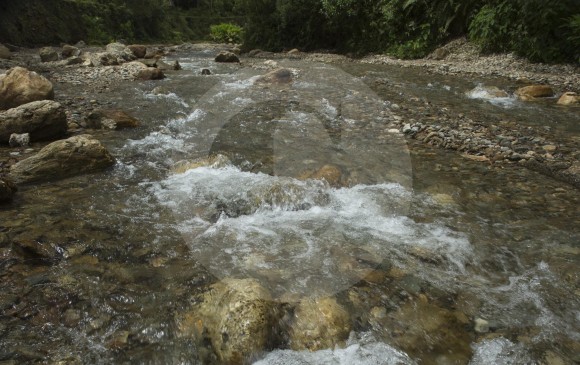 Corantioquia implementó la red social de monitoreo de cuencas hídricas más grande del país. La comunidad se encarga de cuidar los ríos y quebradas. FOTO EDWIN BUSTAMANTE
