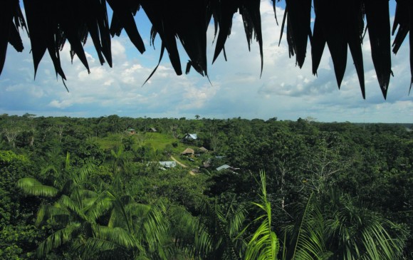 Usaid ha apoyado 134 proyectos en Caquetá con enfoque de desarrollo rural y ha logrado establecer más de 2.300 hectáreas de cacao, plátano, caucho y especies forestales. FOTO Archivo