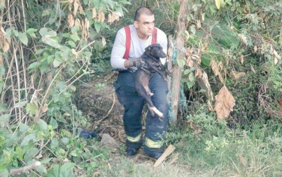 Los bomberos sacaron al perro de la zona boscosa en la que se encontraba. FOTO Cortesía