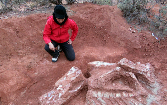 La paleontóloga Carolina Jofré, integrante de la expedición, en el yacimiento situado noroeste argentino, donde fueron hallados los huesos fosilizados de Ingentia prima.FOTO: Cortesía Universidad Nacional de San Juan