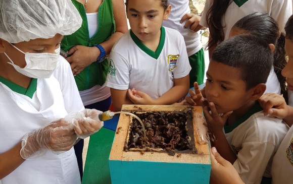 En los colegios, Cornare y Nuestra Gente enseñan la importancia de las abejas para el ecosistema. FOTO cortesía