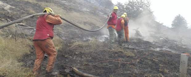 Incendio en la Patagonia fue declarado como zona de catástrofe | Reuters | El incendio, que se habría iniciado el pasado miércoles, en un sendero para excursionistas, consume en promedio unas 2.500 hectáreas de bosque por día.