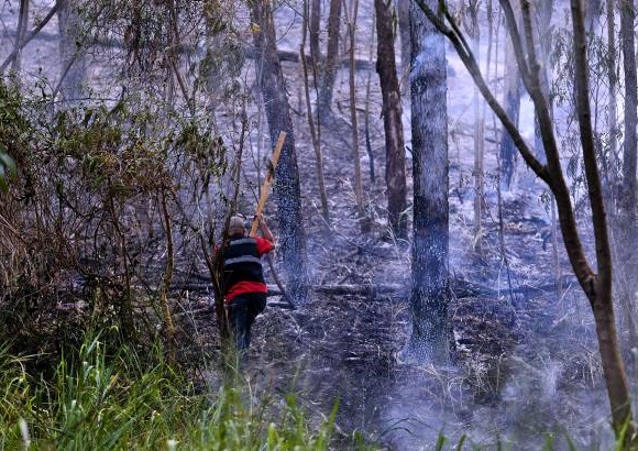 Juan Antonio S&#225;nchez - Las autoridades recuerdan a las personas tener en cuentas las medidas preventivas para evitar los incendios: no arrojar basuras en los bosques y mucho menos realizar fogatas.