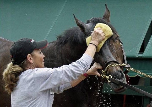 AP - Un caballo recibe un ba&#241;o en el Hip&#243;dromo de Baltimore en Estados Unidos. Esta semana se realizaron varias carreras de caballos.