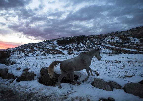 Reuters - La nieve tambi&#233;n lleg&#243; a Altos del Gol&#225;n, cerca de la frontera entre Israel y Siria.
