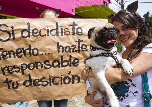 Esteban Vanegas - Los habitantes lucieron orejeras de perros y gatos, adem&#225;s de carteles para protestar.