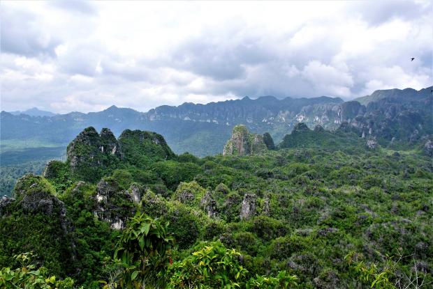 Montañas de piedra caliza en Kalimantan Oriental, Borneo. Foto: Pindi Setiawan