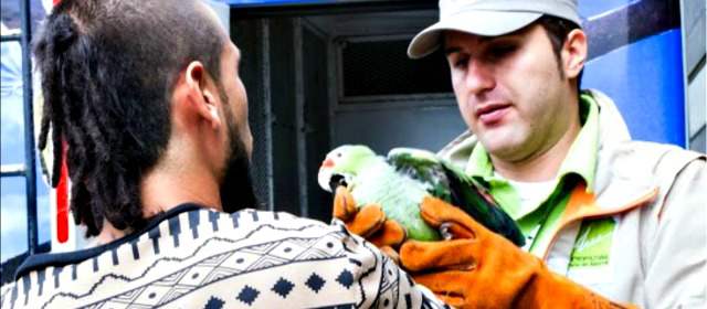 San Cristóbal, libre de fauna silvestre | El proceso de declaratoria permitió que 14 mil ciudadanos se comprometieran con cuidar la fauna silvestre. FOTO CORTESÍA