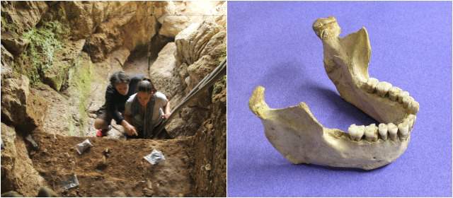 Así fue el fin de los neandertales | Higham y Katerina Douka seleccionan muestras. En el círculo, mandíbula de neandertal. FOTO CORTESÍA T. HIGHAM