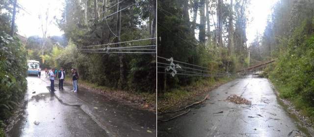 Árboles caídos y postes bloquean la vía La Ceja- El Retiro | Cortesía: Andrés Felipe @yopipesxx