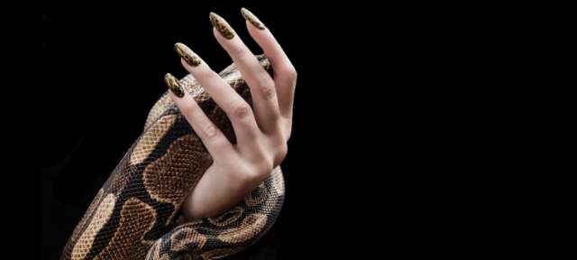 El manicure francés se despide y abre paso a diseños vistosos | Propuesta de uñas en animal print. La marca de E.U. Sally Hansen vende esmaltes con imanes que dibujan nuevos diseños. FOTOS EFE El manicure francés se despide y abre paso a diseños vistosos | Propuesta de uñas en animal print. La marca de E.U. Sally Hansen vende esmaltes con imanes que dibujan nuevos diseños. FOTOS EFE
