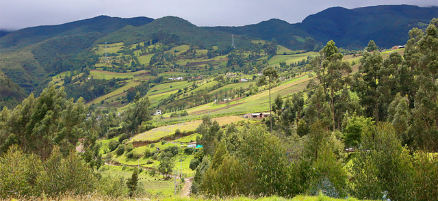 Gobierno invertirá en riego y drenaje de 500.000 hectáreas de tierra. FOTO: COLPRENSA