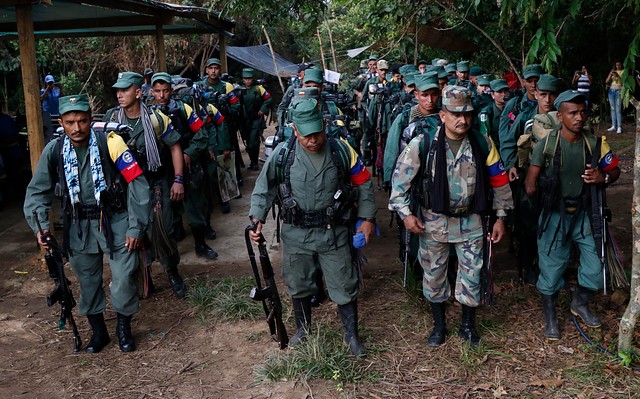 Militantes de las Farc llegan a zonas de ubicación transitorias. FOTO COLPRENSA