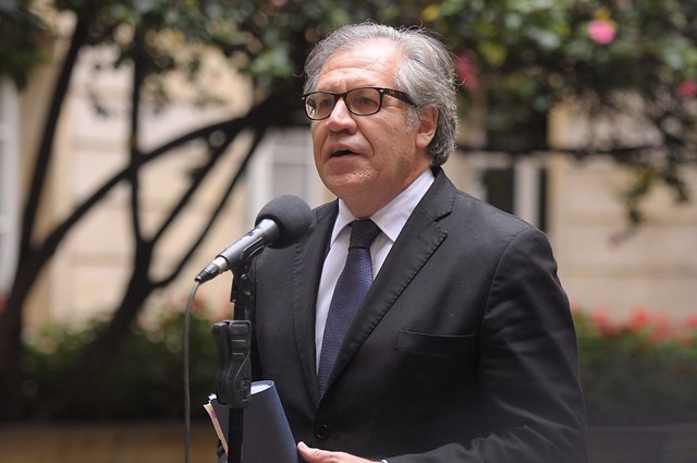 Luis Almagro, secretario general de la Organización de Estados Americanos (OEA). FOTO COLPRENSA