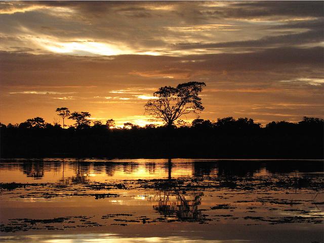 Reserva Natural Irapai, que se encuentra ubicada en el municipio de Puerto Alegría sobre el Río Amazonas, a 25 kilómetros de Leticia, es el lugar perfecto para tener contacto con la naturaleza y el medio ambiente del Amazonas.
